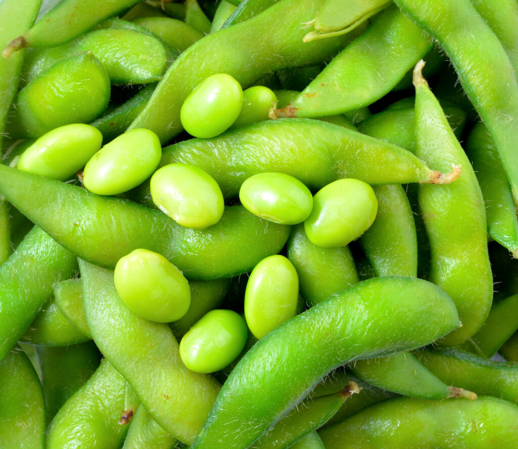 Picture of green soybeans.